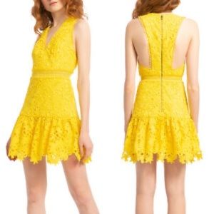 Alice + Olivia marleen dress